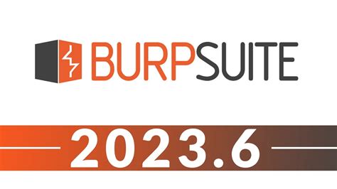 Burp Suite Professional 2023 